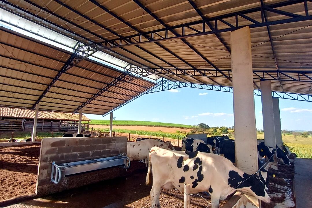 Exemplo de obra Rural 2